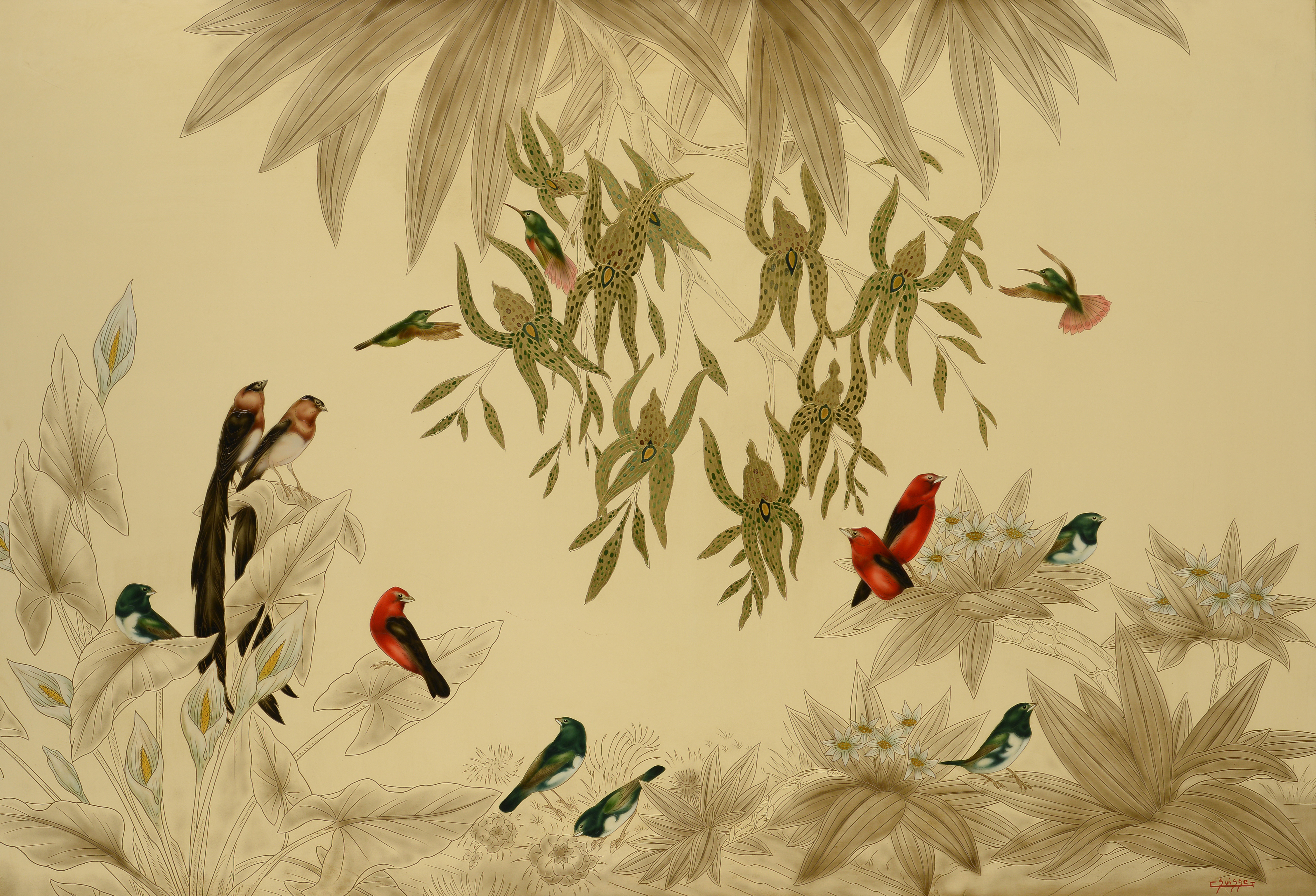 Veuves, Tangaras et colibris.